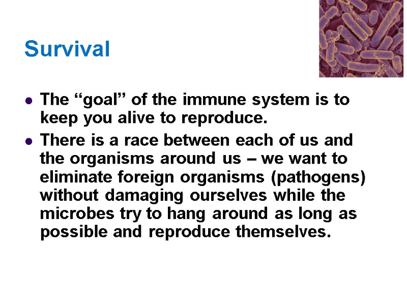 Survival The “goal” of the immune system is to keep you alive to reproduce.